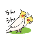 オカメインコ生活りたーんず（個別スタンプ：16）