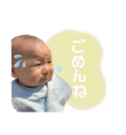 やまとぜんスタンプ1（個別スタンプ：5）