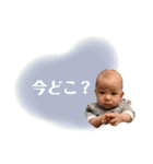 やまとぜんスタンプ1（個別スタンプ：12）