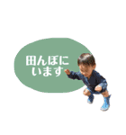 やまとぜんスタンプ1（個別スタンプ：28）