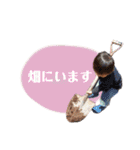 やまとぜんスタンプ1（個別スタンプ：29）