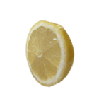 レモン シトロン スタンプ 1（個別スタンプ：2）