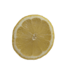 レモン シトロン スタンプ 1（個別スタンプ：4）
