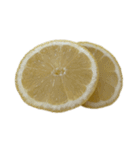 レモン シトロン スタンプ 1（個別スタンプ：5）