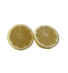 レモン シトロン スタンプ 1（個別スタンプ：8）