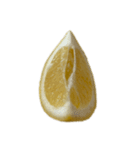レモン シトロン スタンプ 1（個別スタンプ：12）
