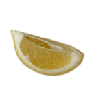レモン シトロン スタンプ 1（個別スタンプ：13）