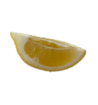 レモン シトロン スタンプ 1（個別スタンプ：14）