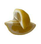 レモン シトロン スタンプ 1（個別スタンプ：15）