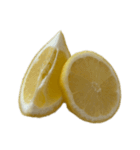 レモン シトロン スタンプ 1（個別スタンプ：17）