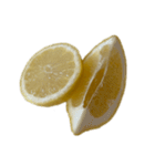 レモン シトロン スタンプ 1（個別スタンプ：19）