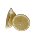 レモン シトロン スタンプ 1（個別スタンプ：20）