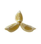 レモン シトロン スタンプ 1（個別スタンプ：23）