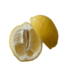 レモン シトロン スタンプ 1（個別スタンプ：25）