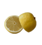 レモン シトロン スタンプ 1（個別スタンプ：26）