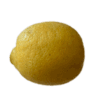 レモン シトロン スタンプ 1（個別スタンプ：27）