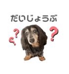 ちょこちゃんすたんぷ1（個別スタンプ：4）