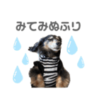 ちょこちゃんすたんぷ1（個別スタンプ：14）