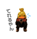 ちょこちゃんすたんぷ1（個別スタンプ：20）