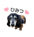 ちょこちゃんすたんぷ1（個別スタンプ：22）