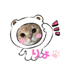 アメショ♡スコ♡マルプー（個別スタンプ：22）
