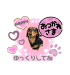 ダックスLoveちゃん6（個別スタンプ：3）
