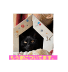 我が家のニャーたち（個別スタンプ：25）