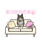 猫ちゃんほんわか励ましスタンプ（個別スタンプ：33）