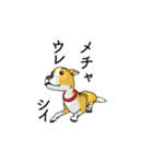 動く3D！キレキレの金色犬（個別スタンプ：10）