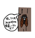 セミの叫び（個別スタンプ：11）