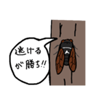 セミの叫び（個別スタンプ：12）