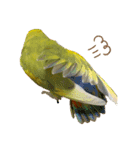 コザクラインコよもぎ♀4（個別スタンプ：3）