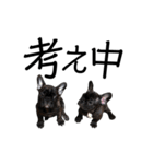 フレブルバニラファミリー②でか文字（個別スタンプ：21）