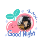 チョコ＆ミーちゃん（個別スタンプ：1）