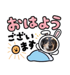 チョコ＆ミーちゃん（個別スタンプ：3）