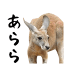 飛び出すミーム✨キリンと動物園の仲間たち（個別スタンプ：15）