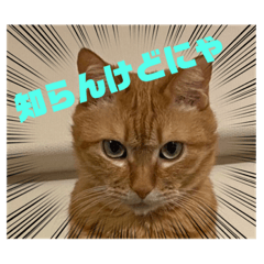 [LINEスタンプ] 知らんけどなスタンプ