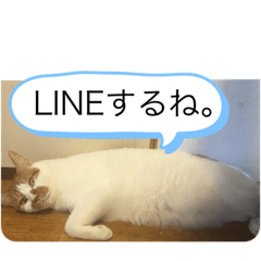 [LINEスタンプ] 虎徹とハート