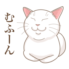 [LINEスタンプ] 白猫たーちん