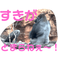 [LINEスタンプ] 可愛い動物たちが気持ち伝えてますわっ