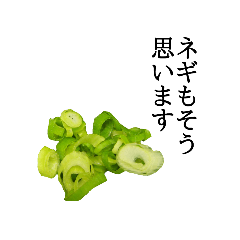 [LINEスタンプ] ネギだよ【稀有】