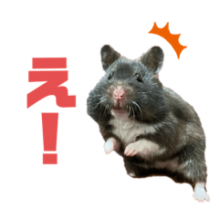 [LINEスタンプ] ちーずとおはぎ