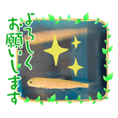 [LINEスタンプ] 鮭のおもしろいスタンプ