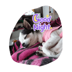 [LINEスタンプ] むうちょこ
