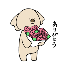 [LINEスタンプ] こあら用スタンプ