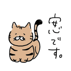 [LINEスタンプ] しましまねこちゃんの敬語スタンプ