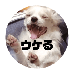 [LINEスタンプ] ちーたすたんぷ4