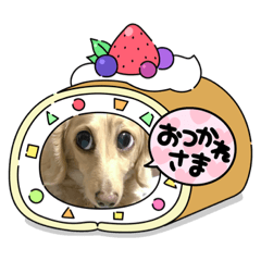 [LINEスタンプ] となちゃんᯅ̈⑴