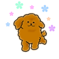 [LINEスタンプ] トイプードル☆ちょこ