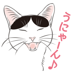 [LINEスタンプ] いつも猫と